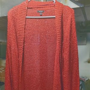 Sparkly red festive Sweater